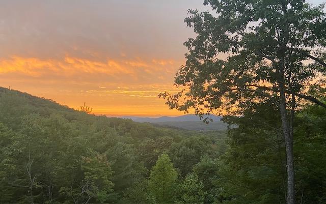 429514 Brasstown Residential