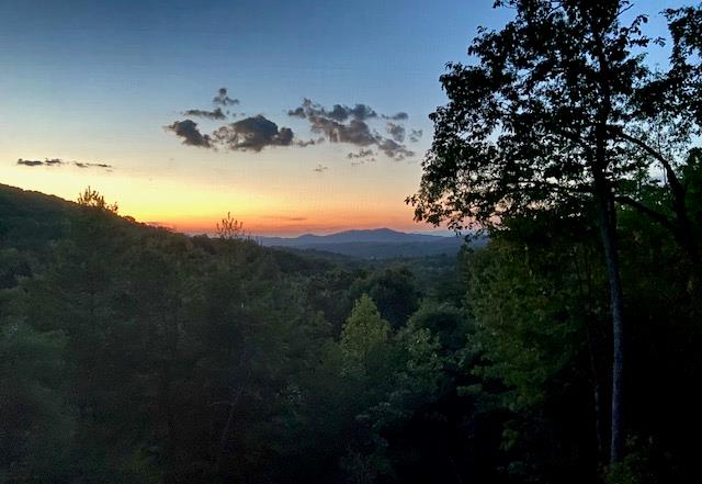 429514 Brasstown Residential