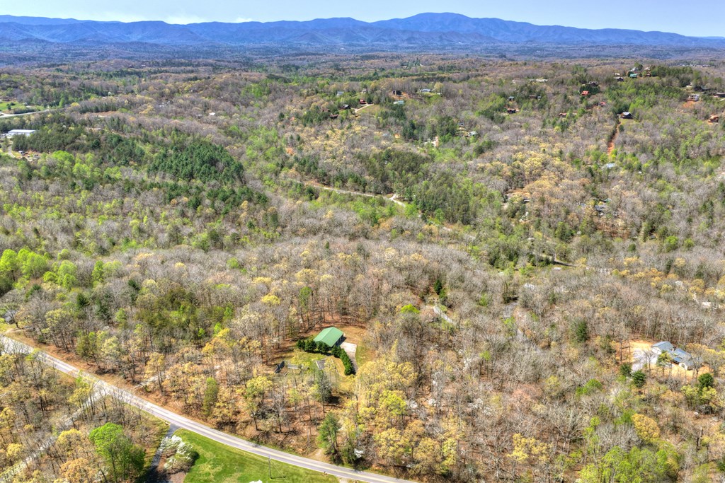 429518 Blue Ridge Residential