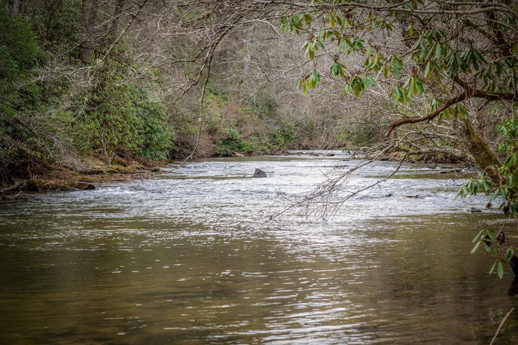 429519 McCaysville Residential