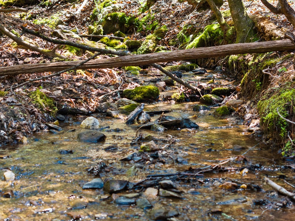 429529 Morganton Residential