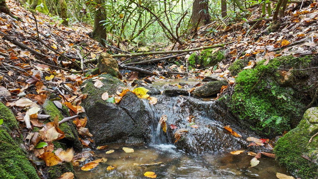 429529 Morganton Residential