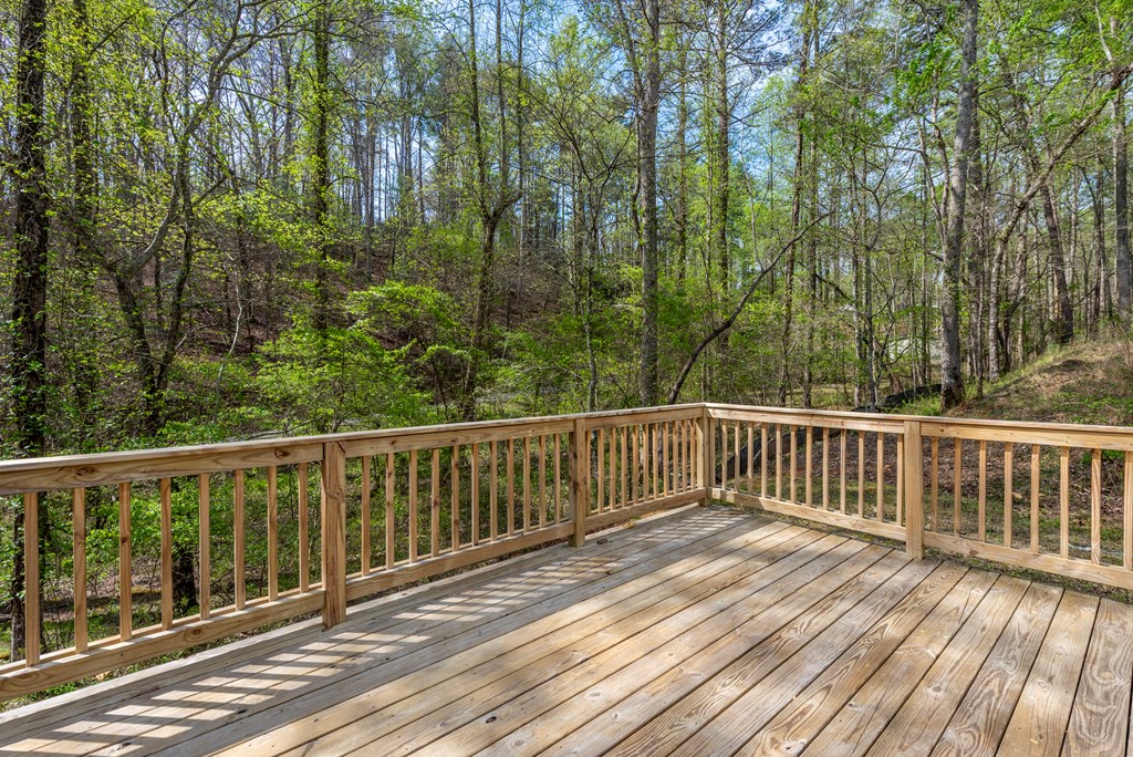 429534 Ellijay Residential