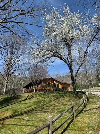 429538 Hayesville Residential