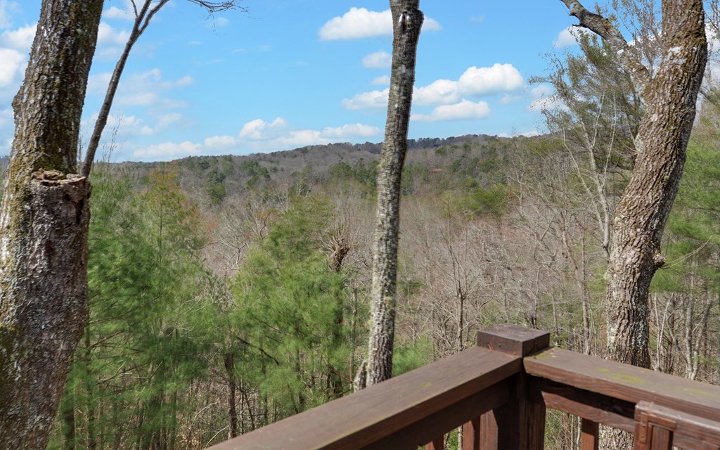 429540 Blue Ridge Residential