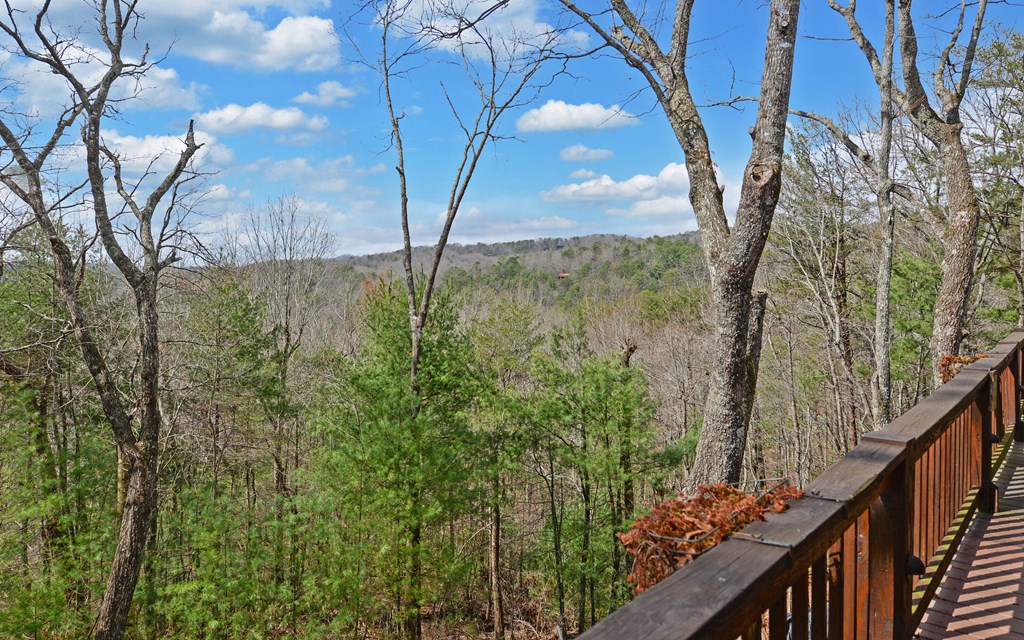 429540 Blue Ridge Residential