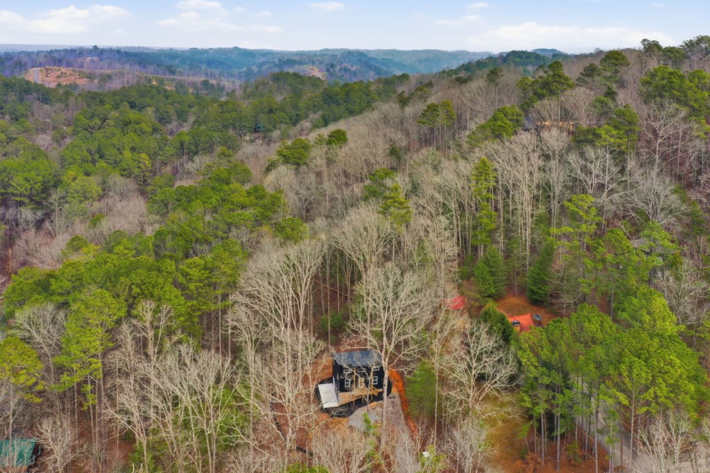 429543 Ellijay Residential