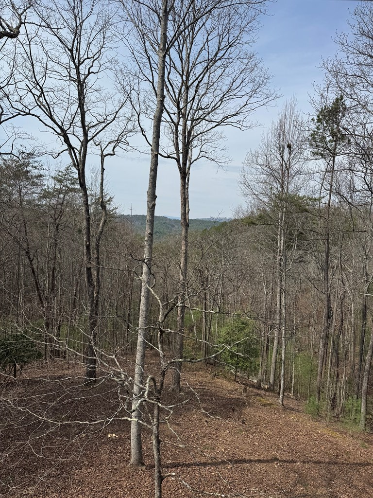 429546 Morganton Residential