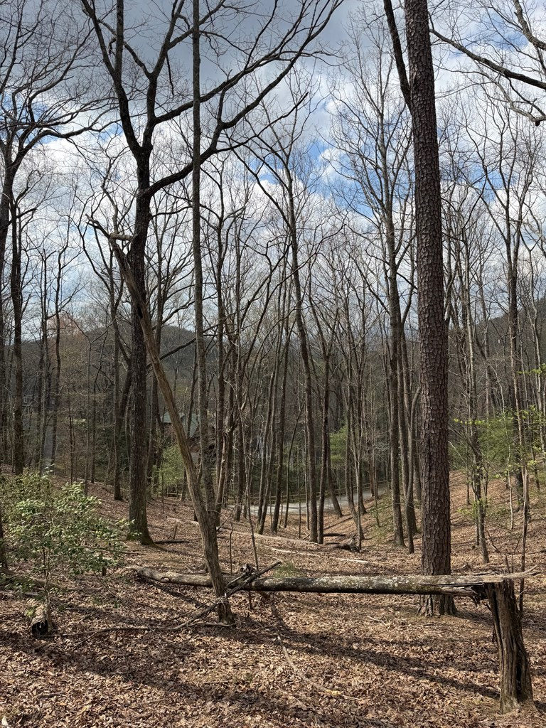 429547 Ellijay Residential