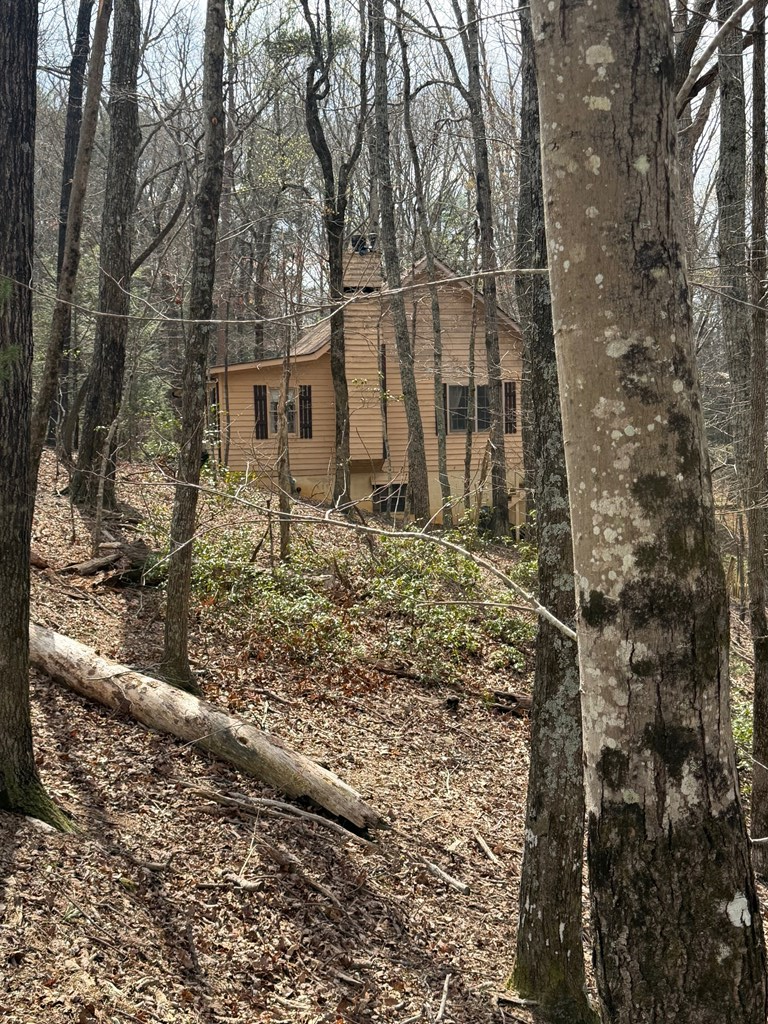 429547 Ellijay Residential