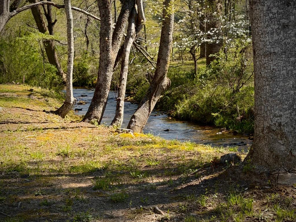 429550 Blue Ridge Residential