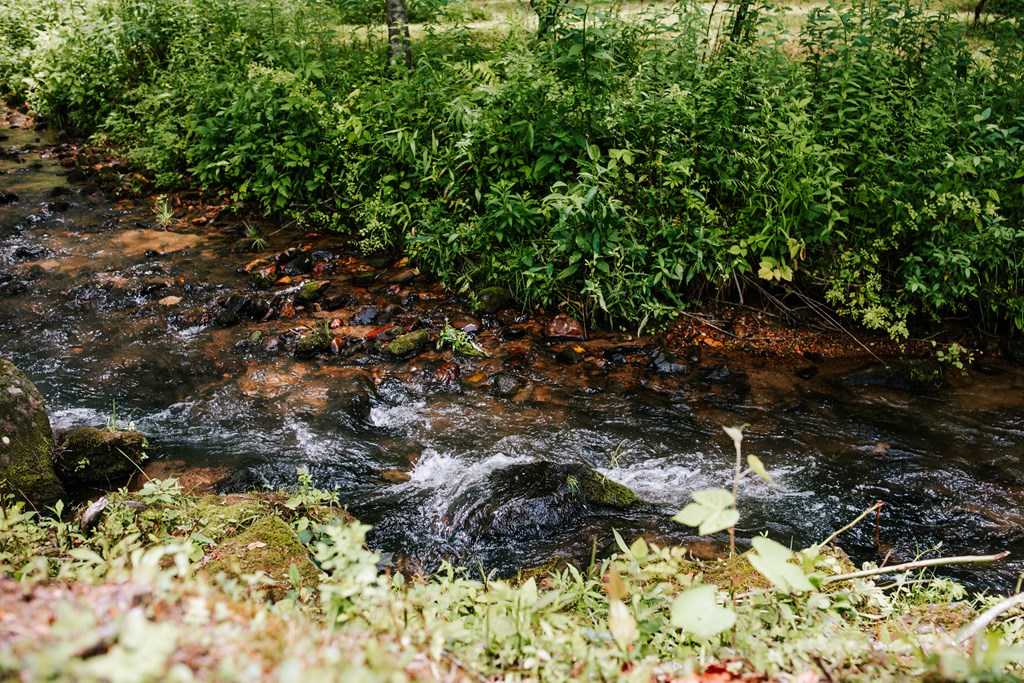 429550 Blue Ridge Residential