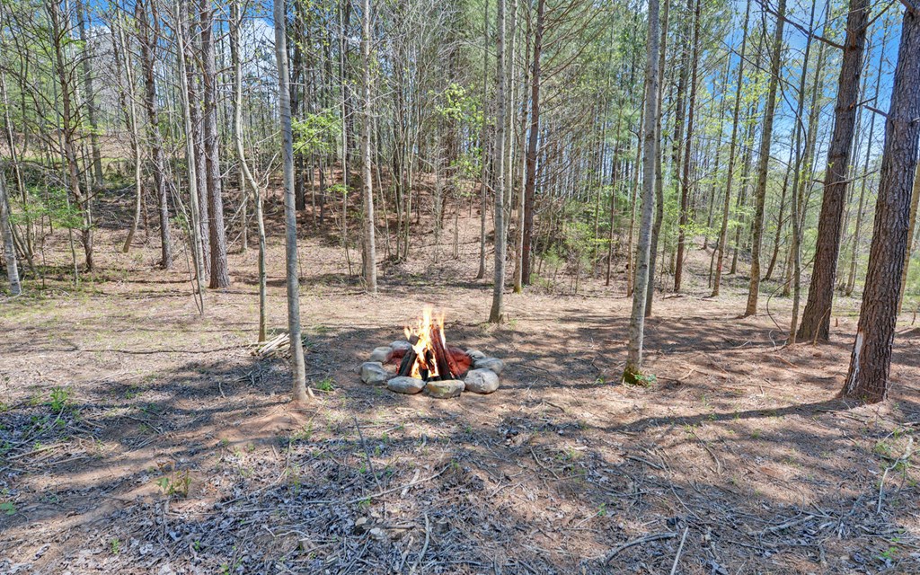 429558 Murphy Residential