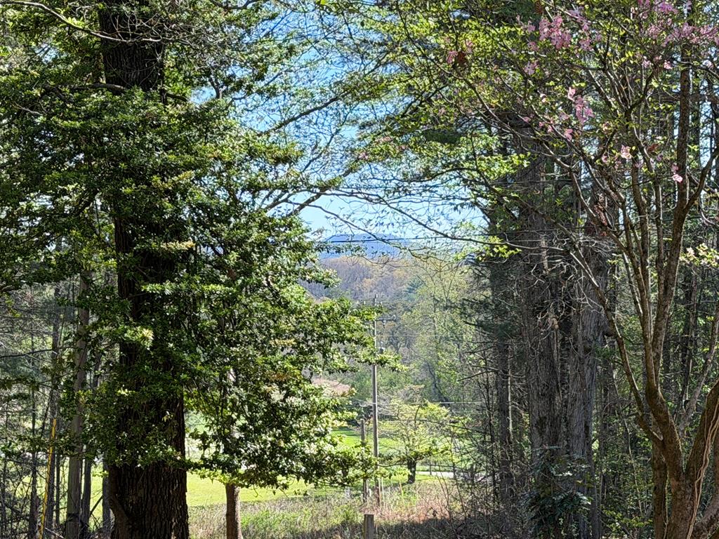 429561 Morganton Residential