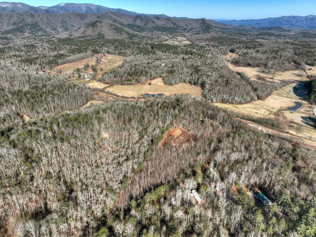 429564 Blue Ridge Residential