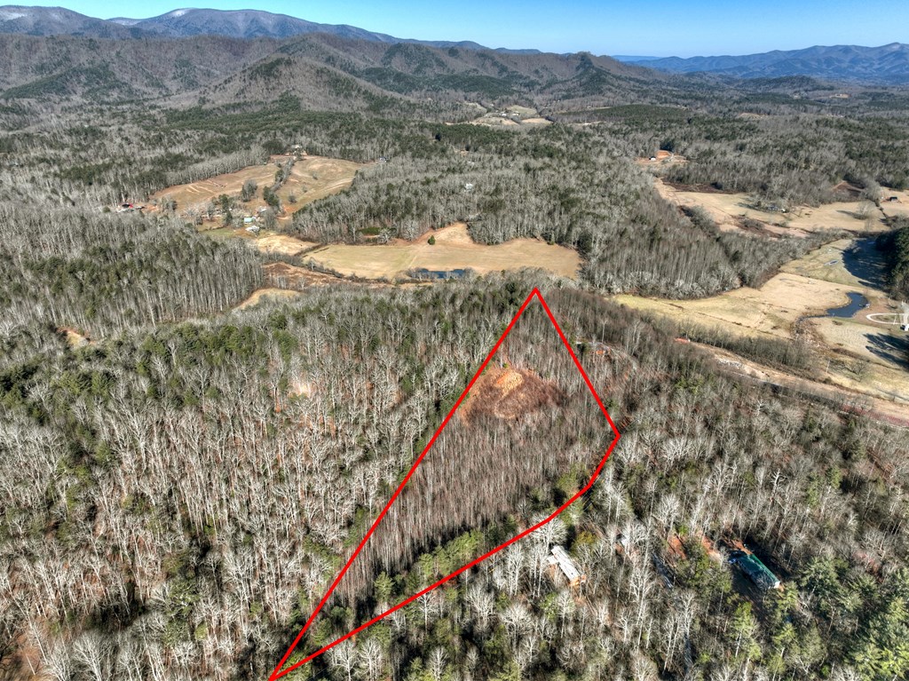 429564 Blue Ridge Residential