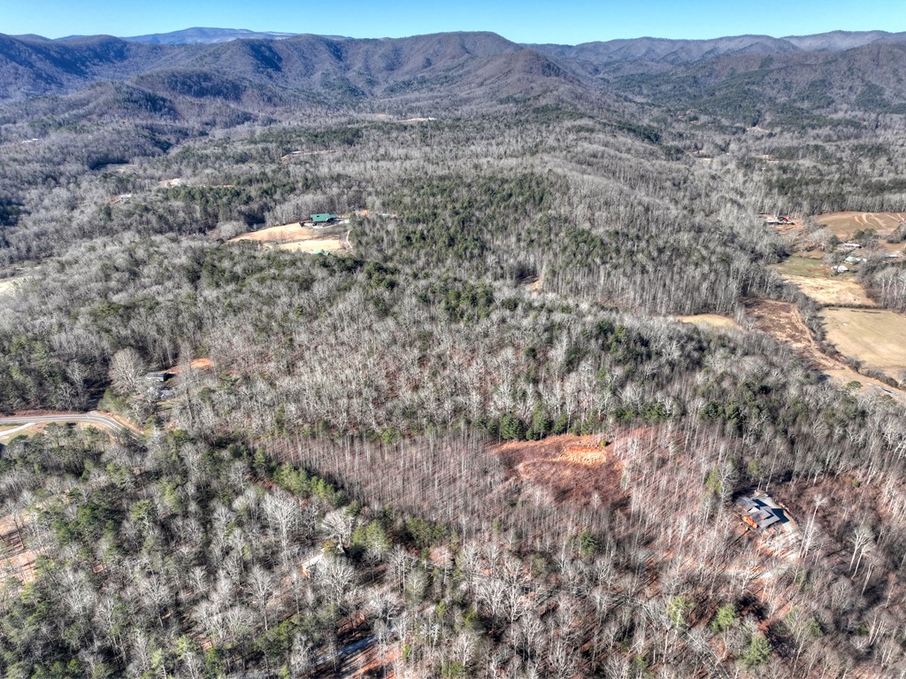 429564 Blue Ridge Residential