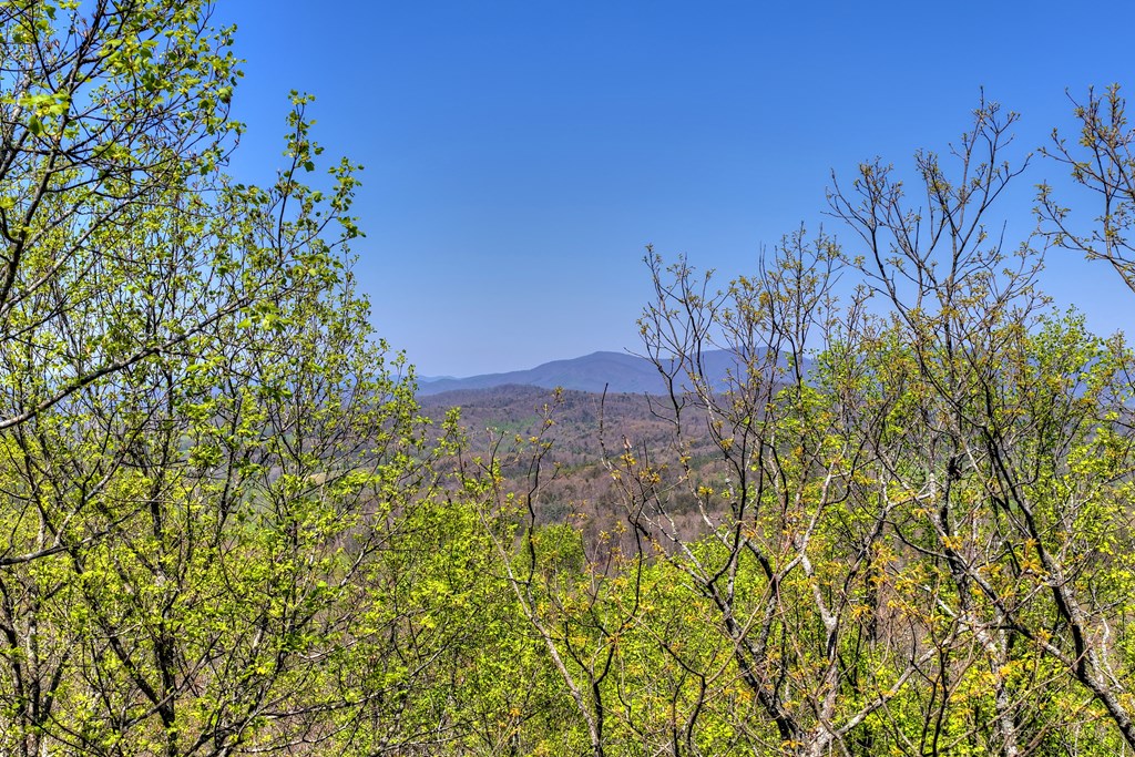 429568 Ellijay Residential