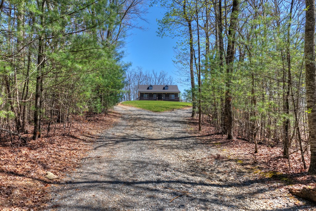 429568 Ellijay Residential