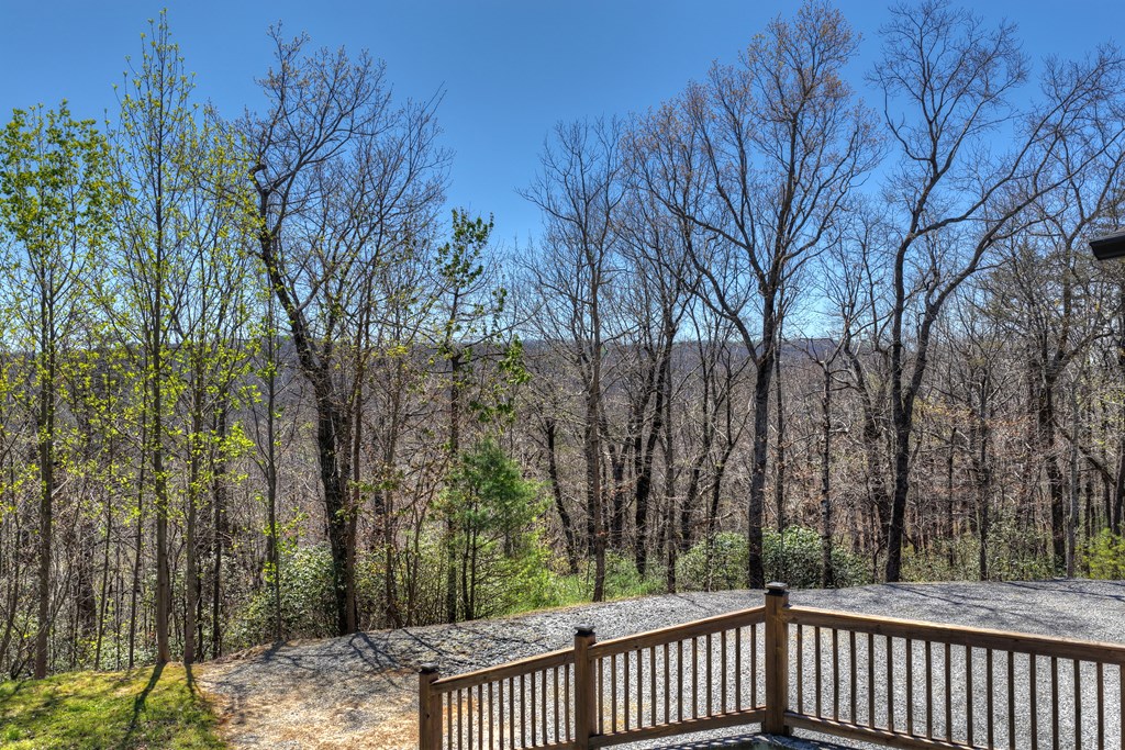 429568 Ellijay Residential