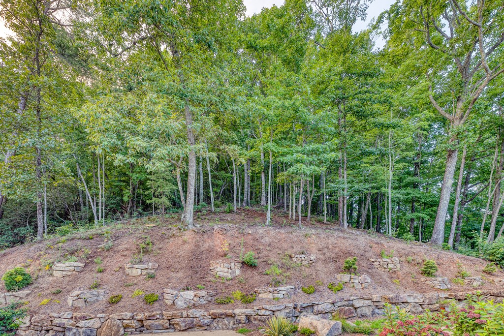 429586 Blue Ridge Residential