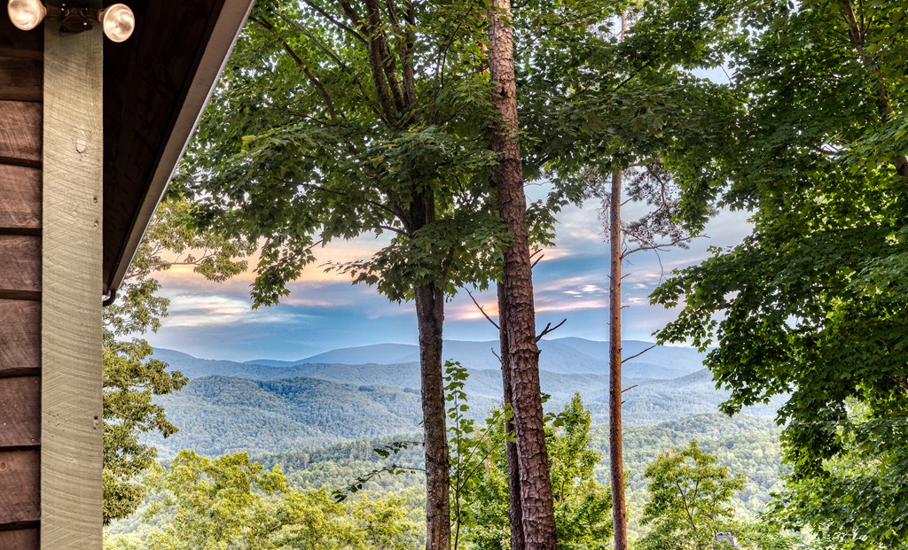 429586 Blue Ridge Residential