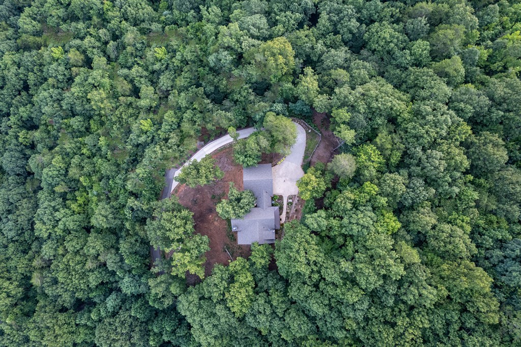 429586 Blue Ridge Residential