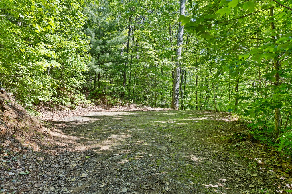 429589 Ellijay Residential