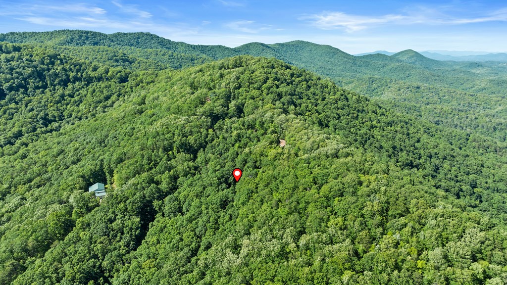 429589 Ellijay Residential