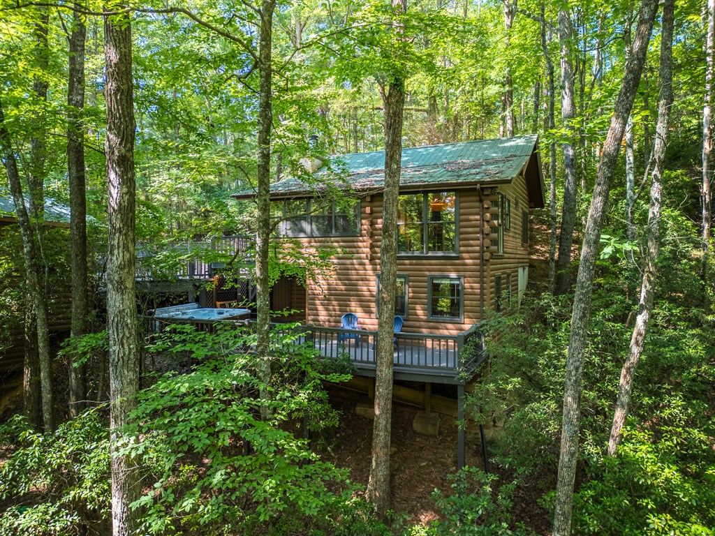 429605 Cherry Log Residential