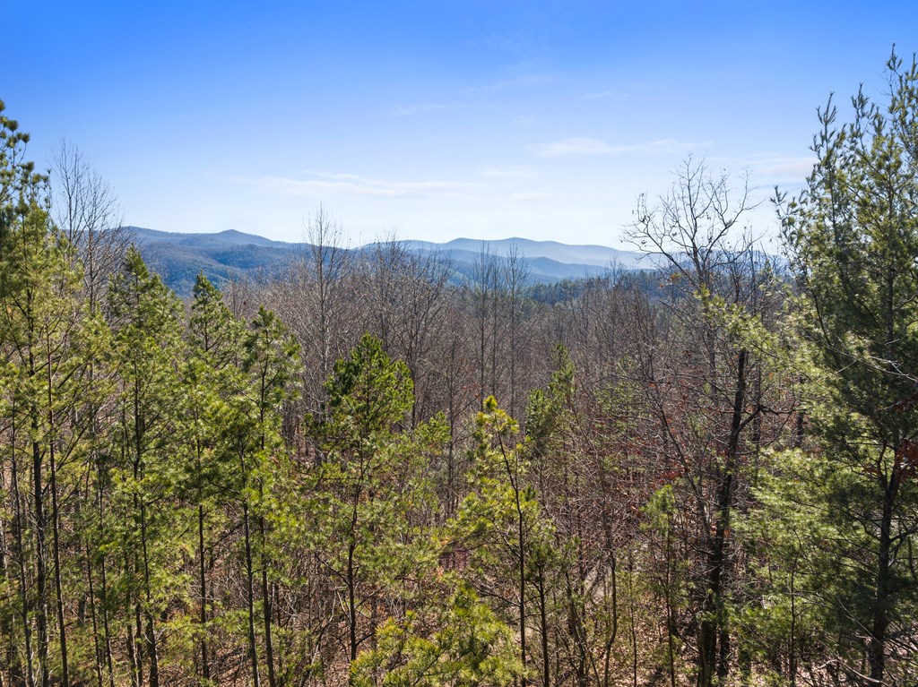 429627 Blue Ridge Residential