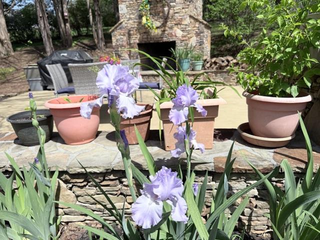 429721 Blairsville Residential