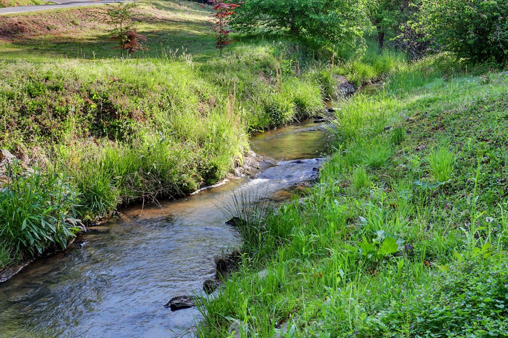 429725 Murphy Residential