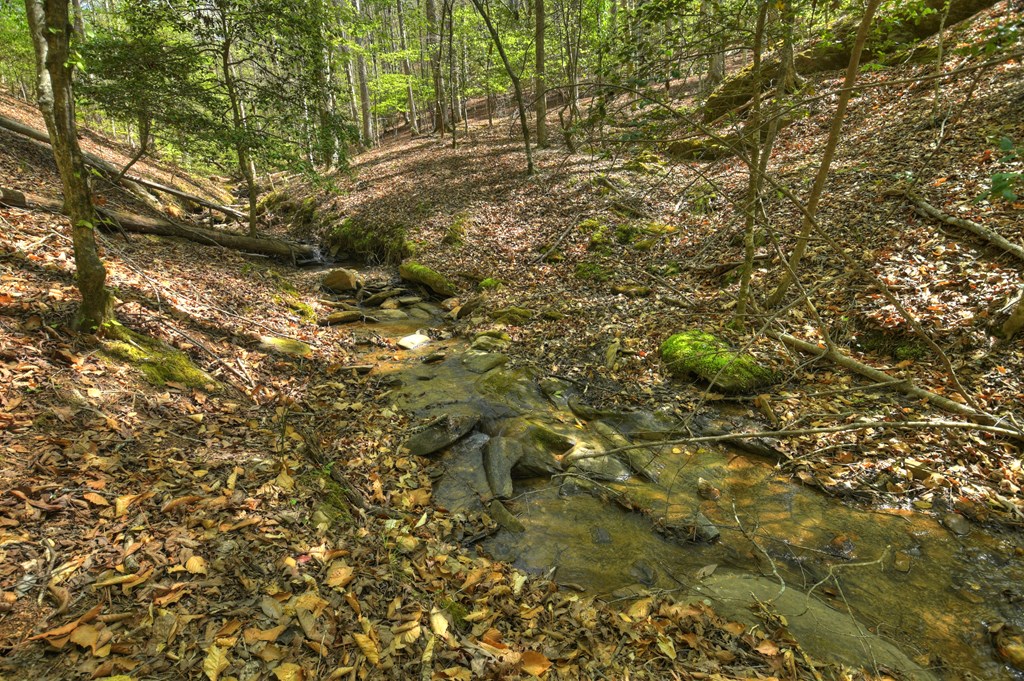429758 Ellijay Residential
