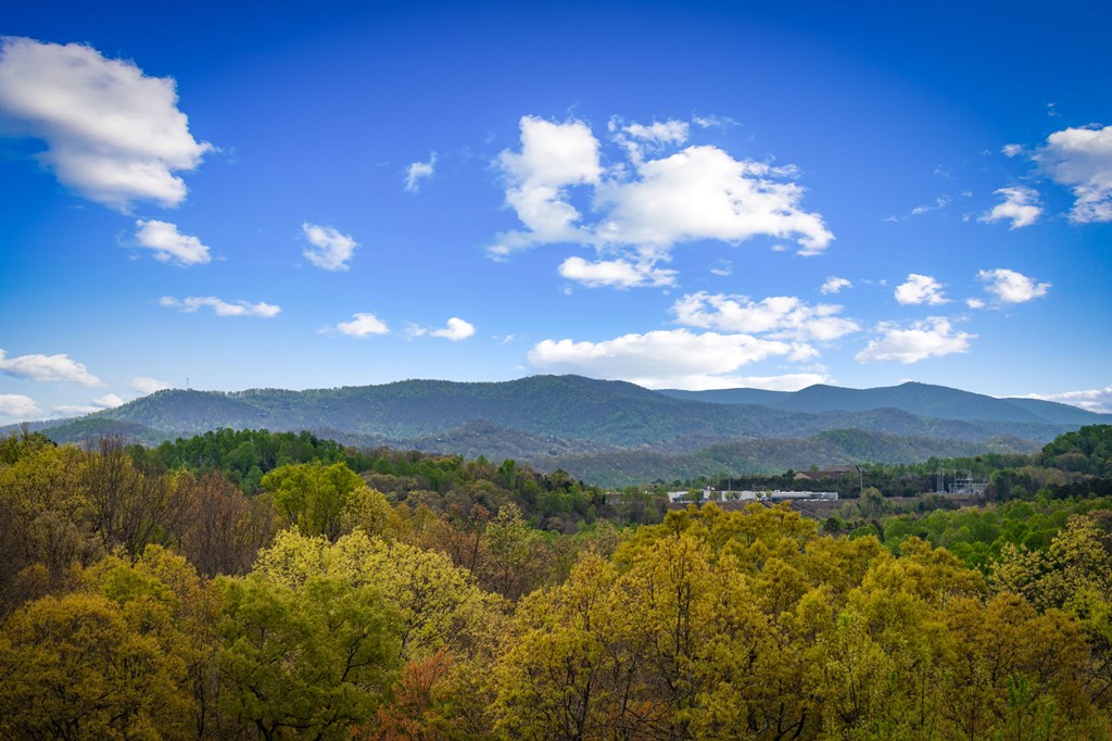 429808 Blue Ridge Residential