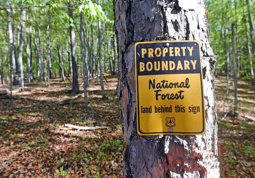 429813 Blairsville Residential