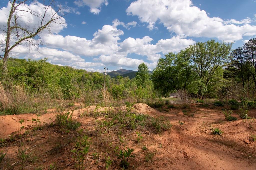 429836  Land