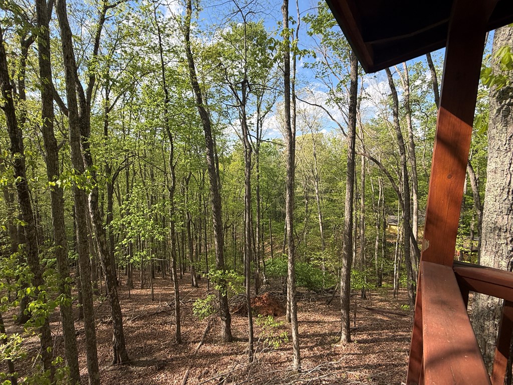 429848 Blue Ridge Residential