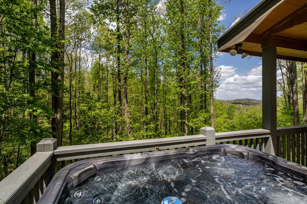 429879 Blue Ridge Residential