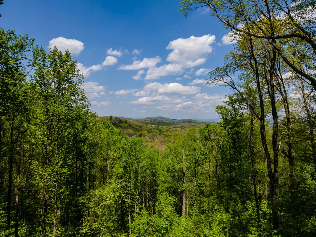 429879 Blue Ridge Residential