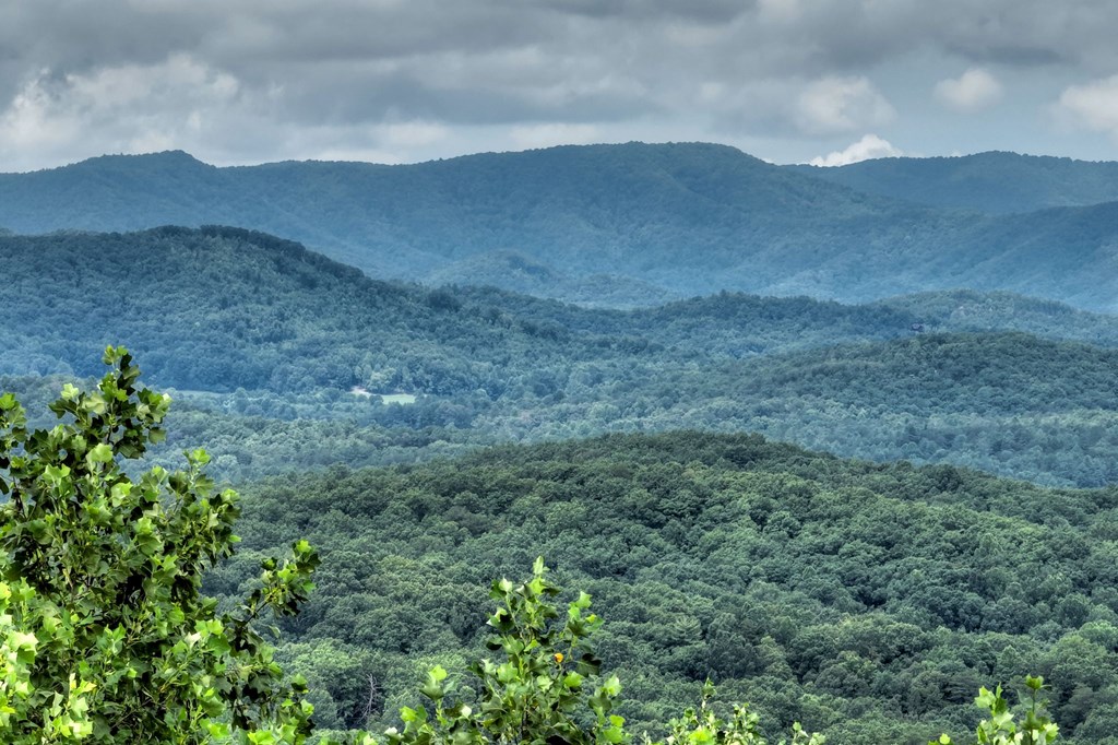 429892 Blue Ridge Residential