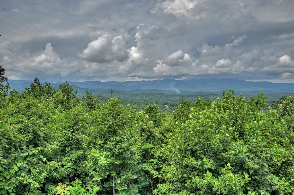 429892 Blue Ridge Residential