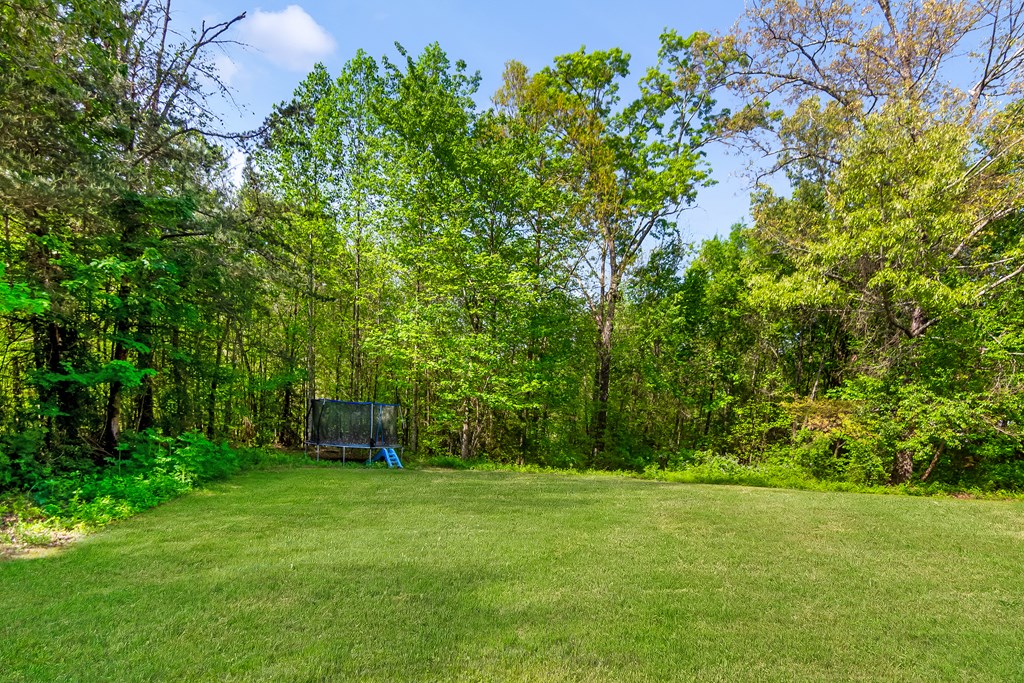 429950 Ellijay Residential