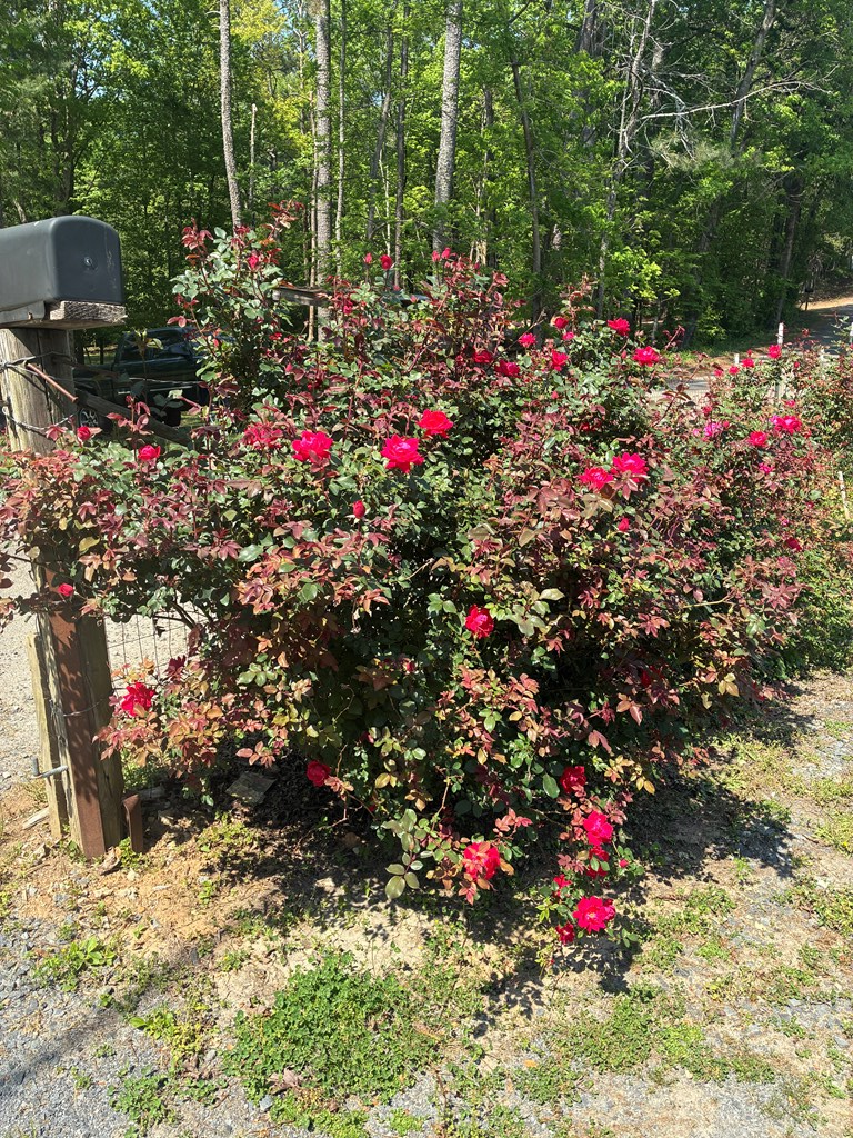 429951 Ellijay Residential