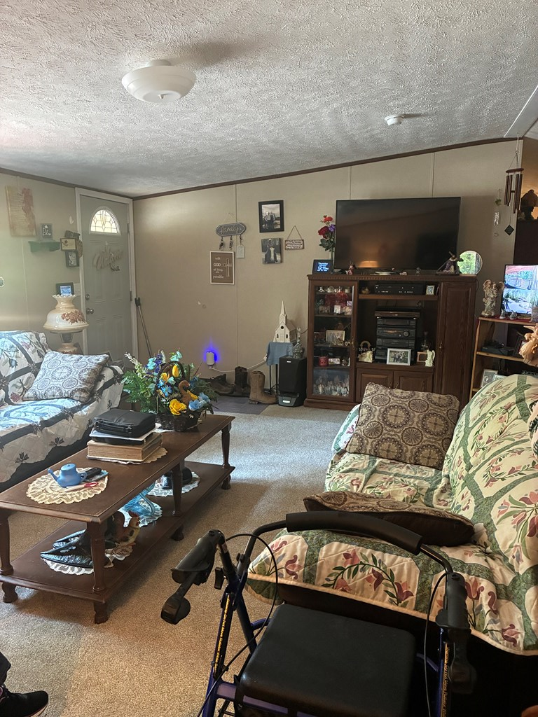 429951 Ellijay Residential
