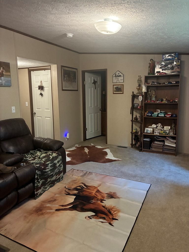 429951 Ellijay Residential