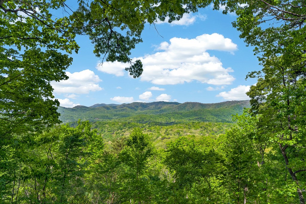 429991 Blue Ridge Residential