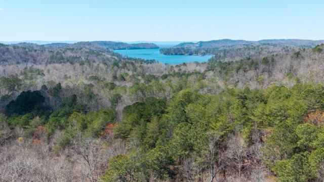 430010 Ellijay Active