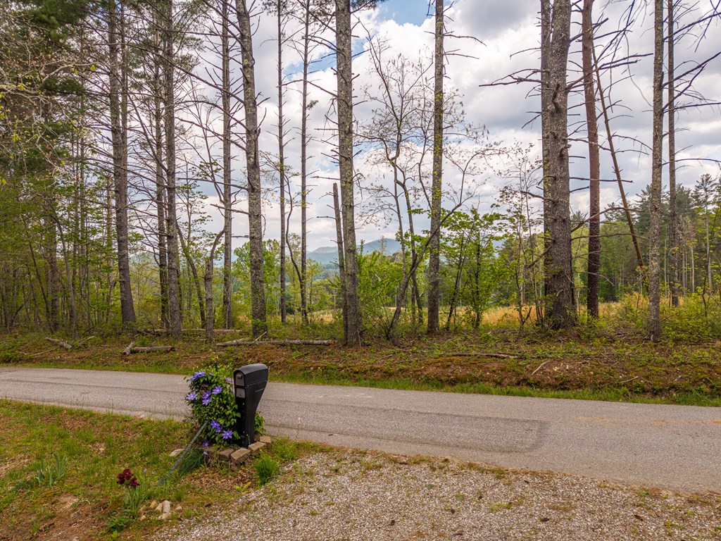 430019 Blairsville Residential