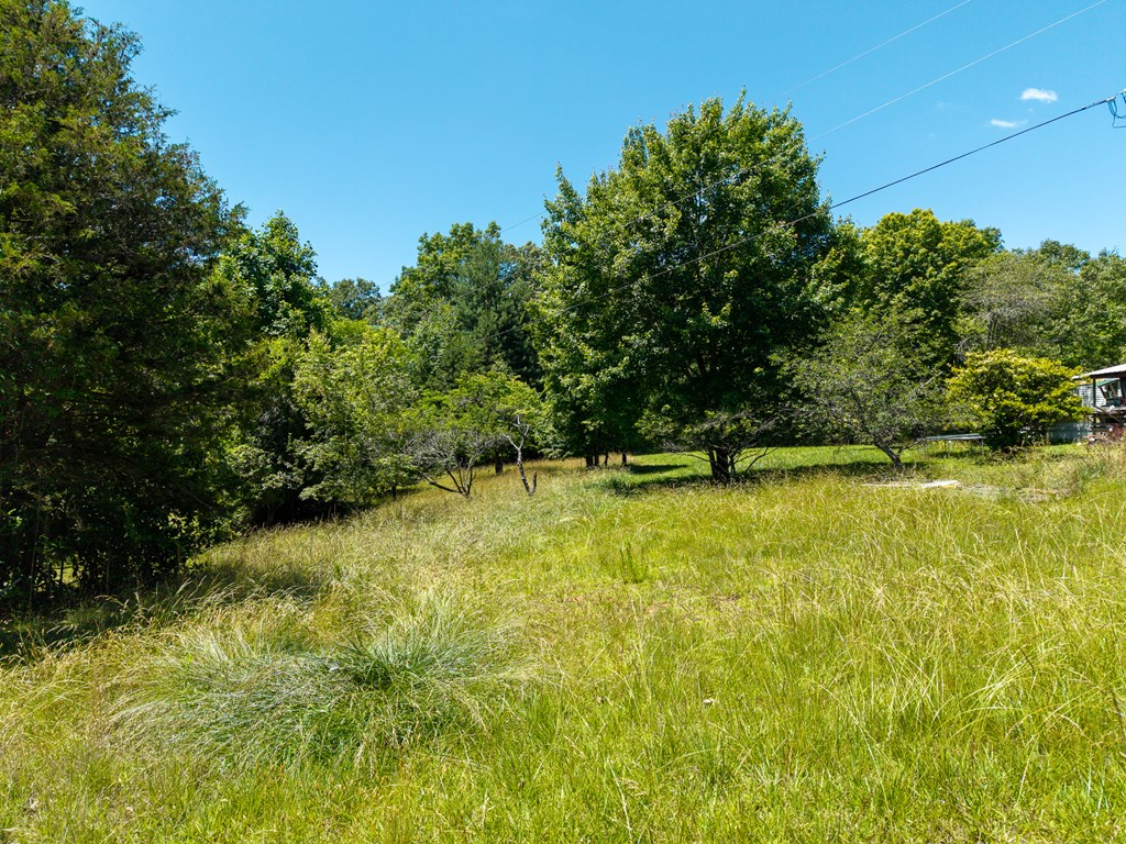 430048 Blue Ridge
 Land